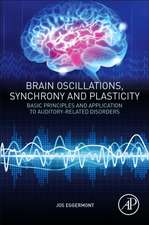 Brain Oscillations, Synchrony and Plasticity: Basic Principles and Application to Auditory-Related Disorders