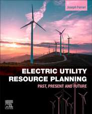 Electric Utility Resource Planning: Past, Present and Future