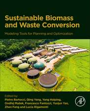 Modeling Tools for Planning Sustainable Biomass and Waste Conversion into Energy and Chemicals: Optimization of Technical, Economic, Environmental and Social Key Aspects