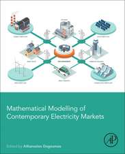 Mathematical Modelling of Contemporary Electricity Markets