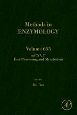 mRNA 3’ End Processing and Metabolism