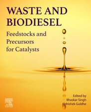 Waste and Biodiesel: Feedstocks and Precursors for Catalysts