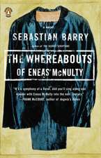 The Whereabouts of Eneas McNulty