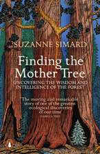 Finding the Mother Tree