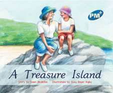 A Treasure Island PM PLUS Blue 11