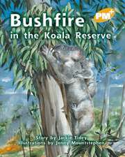 Bushfire at the Koala Reserve PM PLUS Level 22 Gold