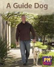 A Guide Dog PM Stars Blue