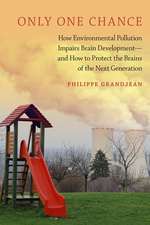 Only One Chance: How Environmental Pollution Impairs Brain Development -- and How to Protect the Brains of the Next Generation