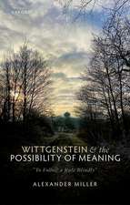 Wittgenstein and the Possibility of Meaning: 