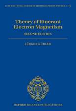 Theory of Itinerant Electron Magnetism