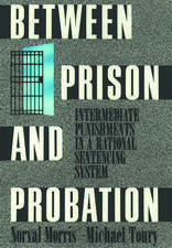 Between Prison and Probation: Intermediate Punishments in a Rational Sentencing System