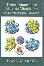 Three-Dimensional Electron Microscopy of Macromolecular Assemblies