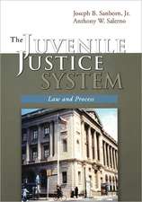 The Juvenile Justice System: Law and Process