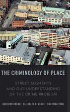 The Criminology of Place: Street Segments and Our Understanding of the Crime Problem