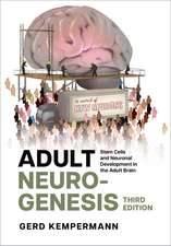 Adult Neurogenesis