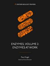 Enzymes, Volume 2: Enzymes at Work