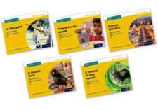 Read Write Inc. Phonics: Yellow Set 5 Non-fiction books (Mixed Pack of 5)