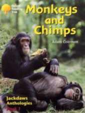 Oxford Reading Tree: Levels 8-11: Jackdaws: Monkeys and Chimps (Pack 1)