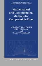 Mathematical and Computational Methods for Compressible Flow