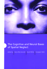 The Cognitive and Neural Bases of Spatial Neglect