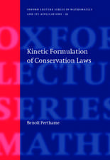 Kinetic Formulation of Conservation Laws