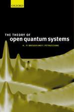 The Theory of Open Quantum Systems