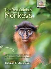 The Red Colobus Monkeys