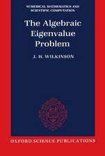 The Algebraic Eigenvalue Problem