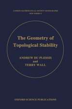 The Geometry of Topological Stability