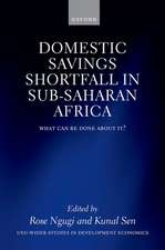 The Domestic Savings Shortfall in Sub-Saharan Africa