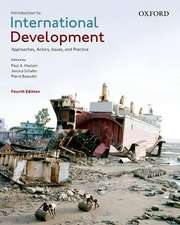 Introduction to International Development: Approaches, Actors, Issues, and Practice