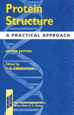 Protein Structure: A Practical Approach