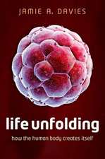 Life Unfolding: How the human body creates itself