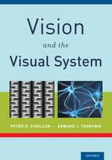 Vision and the Visual System