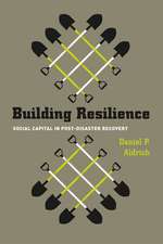 Building Resilience: Social Capital in Post-Disaster Recovery