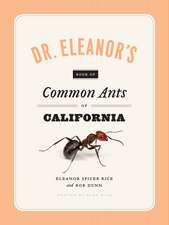 Dr. Eleanor's Book of Common Ants of California