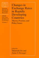 Changes in Exchange Rates in Rapidly Developing Countries: Theory, Practice, and Policy Issues