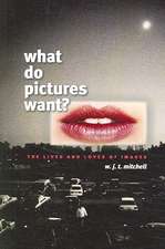 What Do Pictures Want?: The Lives and Loves of Images