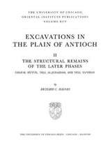 Excavations in the Plain of Antioch V 2 Oip 95