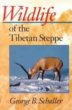 Wildlife of the Tibetan Steppe