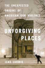 Unforgiving Places: The Unexpected Origins of American Gun Violence