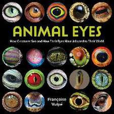 Animal Eyes