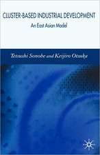 Cluster-Based Industrial Development: An East Asian Model