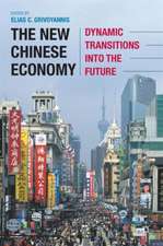 The New Chinese Economy: Dynamic Transitions into the Future