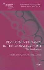 Development Finance in the Global Economy