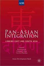 Pan-Asian Integration: Linking East and South Asia