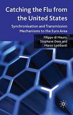 Catching the Flu from the United States: Synchronisation and Transmission Mechanisms to the Euro Area