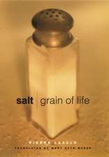 Salt – Grain of Life