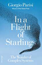 Parisi, G: In a Flight of Starlings