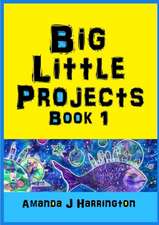 Big Little Projects Book 1